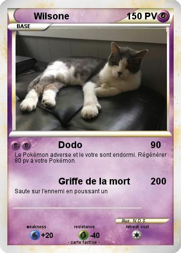 Pokemon Wilsone