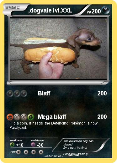 Pokemon ,dogvale lvl.XXL