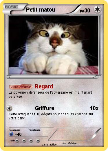 Pokemon Petit matou