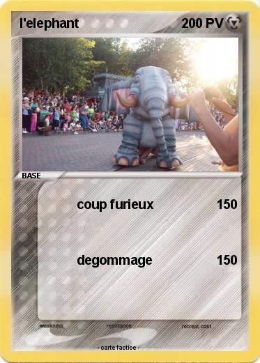 Pokemon l'elephant