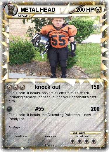 Pokemon METAL HEAD