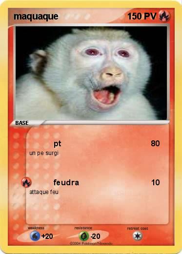 Pokemon maquaque