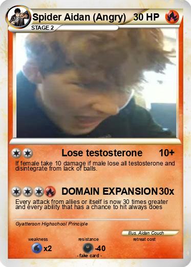 Pokemon Spider Aidan (Angry)