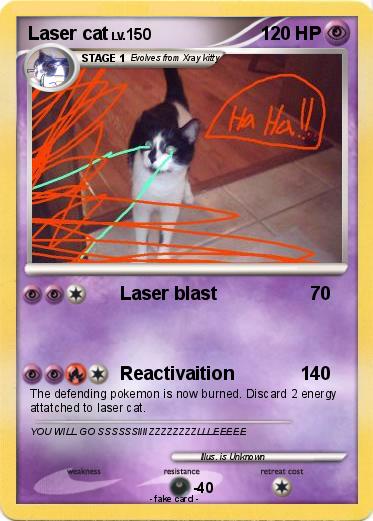 Pokemon Laser cat