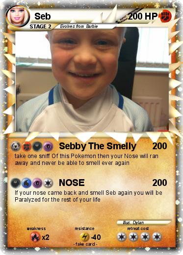 Pokemon Seb