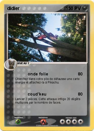 Pokemon didier