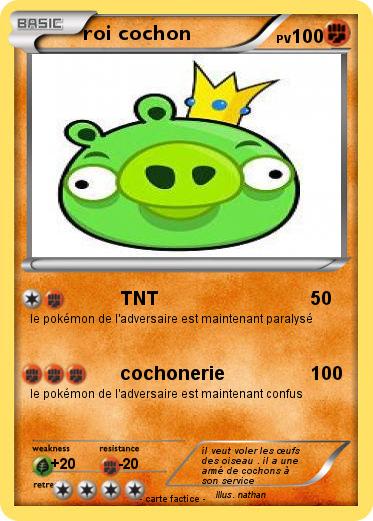 Pokemon roi cochon