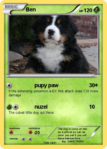 Pokemon Ben