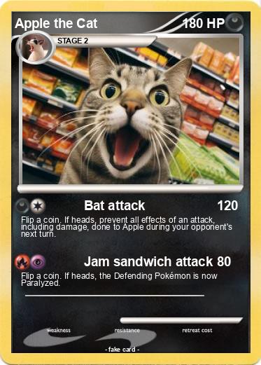 Pokemon Apple the Cat