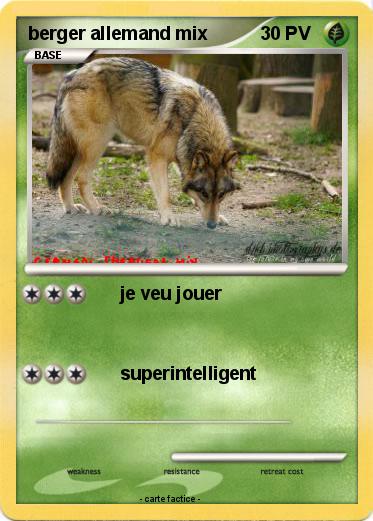 Pokemon berger allemand mix