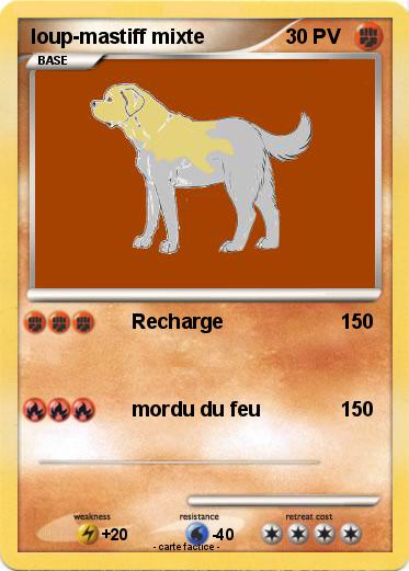Pokemon loup-mastiff mixte