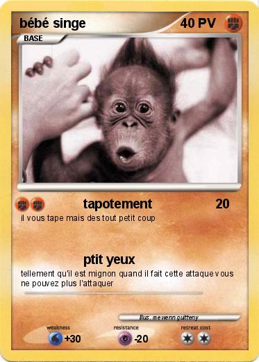 Pokemon bébé singe