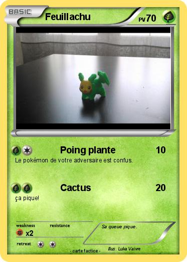 Pokemon Feuillachu