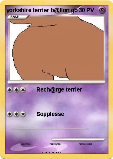 Pokemon yorkshire terrier b@llon gb