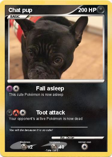 Pokemon Chat pup