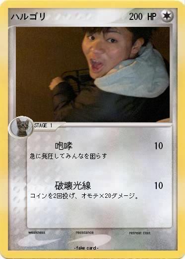 Pokemon ハルゴリ