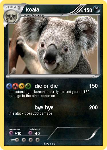 Pokemon koala