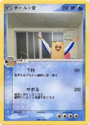 Pokemon ダンボール小菅