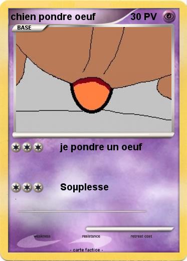 Pokemon chien pondre oeuf
