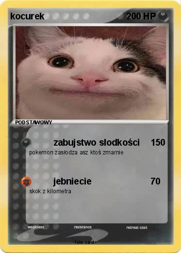 Pokemon kocurek
