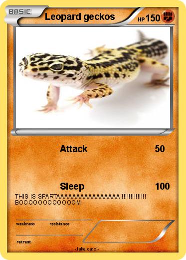 Pokemon Leopard geckos