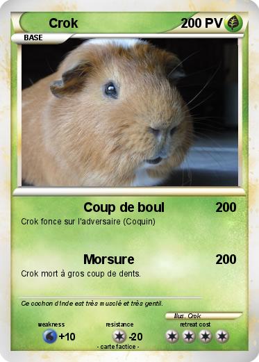Pokemon Crok