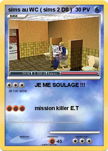 Pokemon sims au WC ( sims 2 DS )