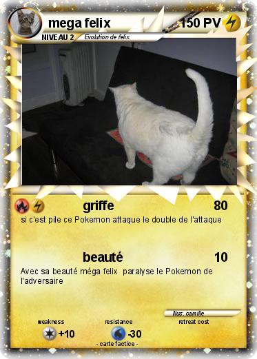 Pokemon mega felix