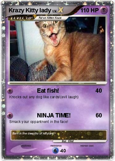 Pokemon Krazy Kitty lady