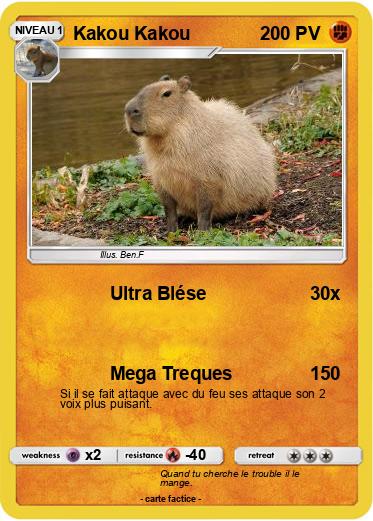 Pokemon Kakou Kakou