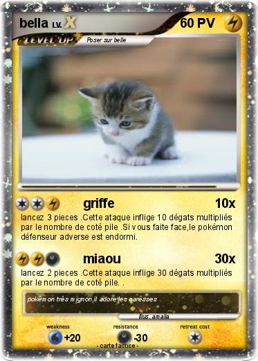Pokemon bella