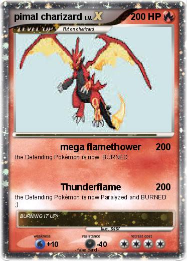 Pokemon pimal charizard