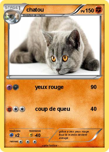 Pokemon chatou