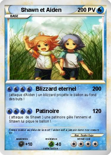 Pokemon Shawn et Aiden