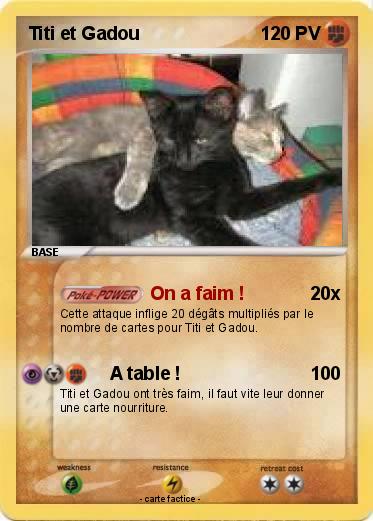 Pokemon Titi et Gadou