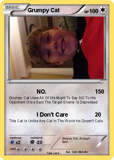 Pokemon Grumpy Cat