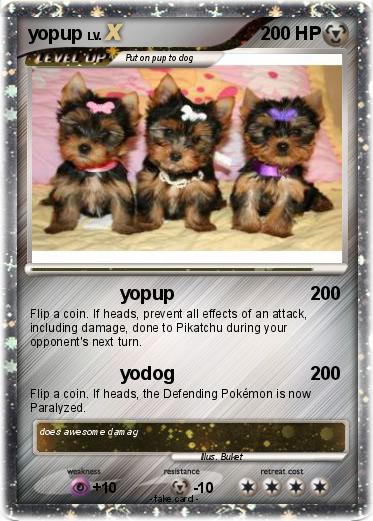 Pokemon yopup