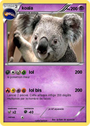 Pokemon koala