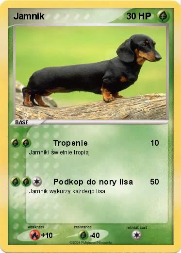 Pokemon Jamnik 