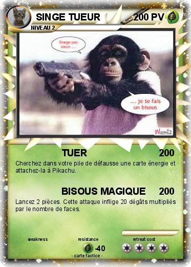 Pokemon SINGE TUEUR