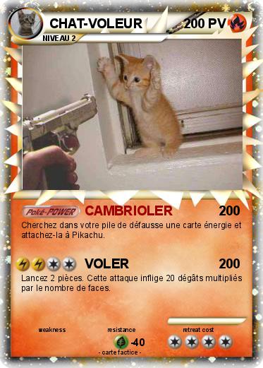 Pokemon CHAT-VOLEUR