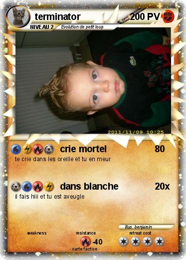 Pokemon terminator