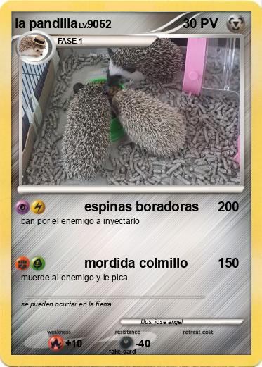 Pokemon la pandilla