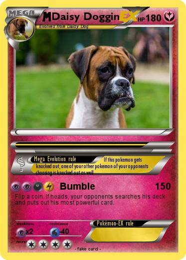 Pokemon Daisy Doggin