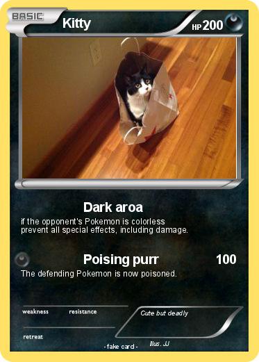 Pokemon Kitty