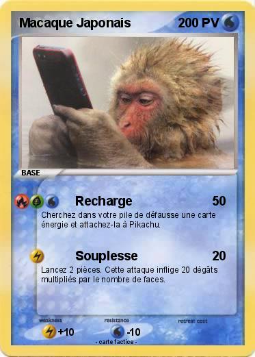 Pokemon Macaque Japonais