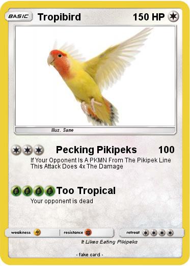 Pokemon Tropibird