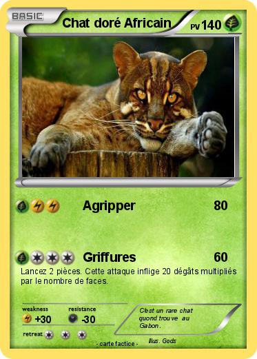 Pokemon Chat doré Africain