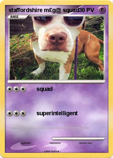 Pokemon staffordshire m£g@ squad