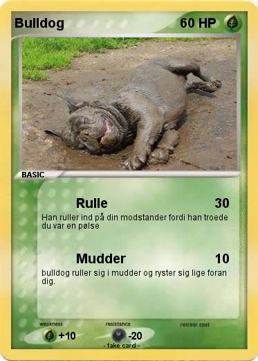 Pokemon Bulldog
